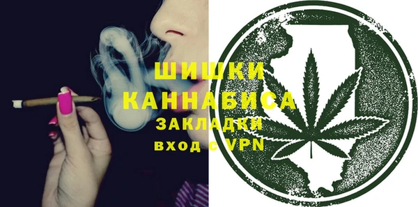 винт Вяземский