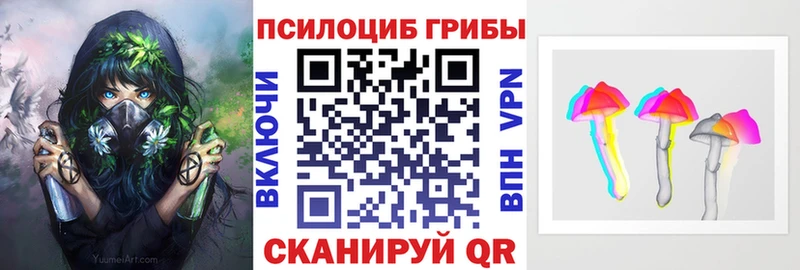 Псилоцибиновые грибы мухоморы  купить  сайты  Каргополь 