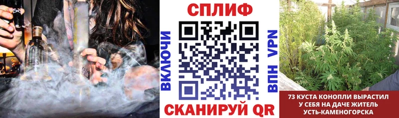 Марихуана план mega маркетплейс Каргополь